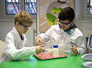 Ein Tag im Kids Lab