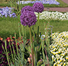 Besuch der Landegartenschau in Landau Teil 2